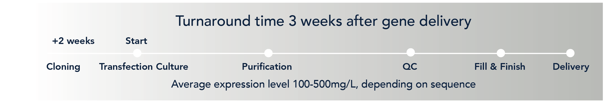 protein timeline-1